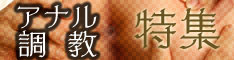 アナル 調教